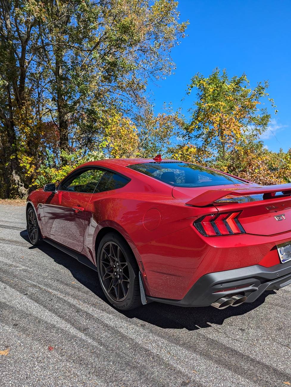 S650 Mustang Official RAPID RED Mustang S650 Thread PXL_20241023_161138396~2