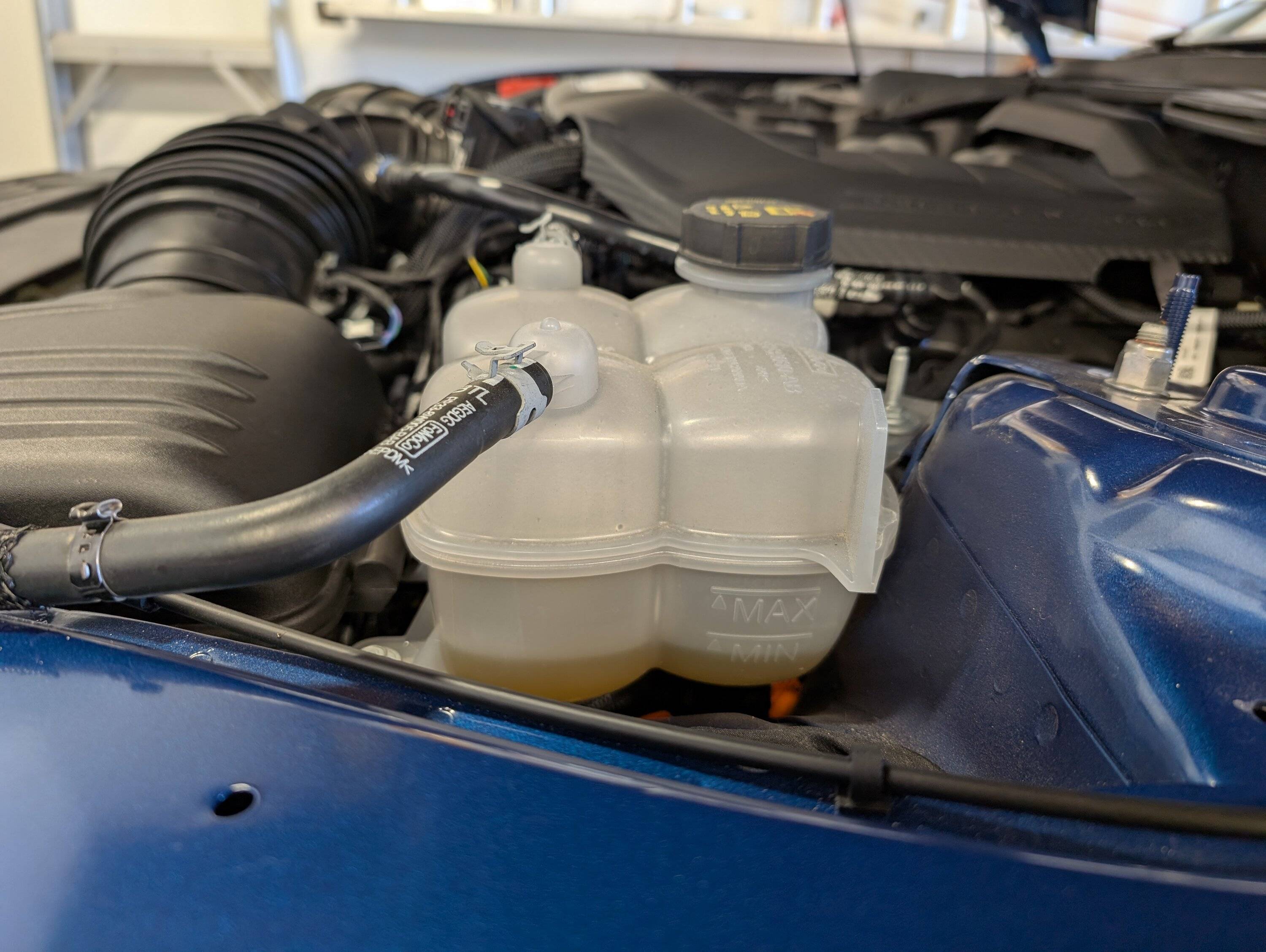 S650 Mustang Low Coolant = cause for concern? PXL_20241126_192739238
