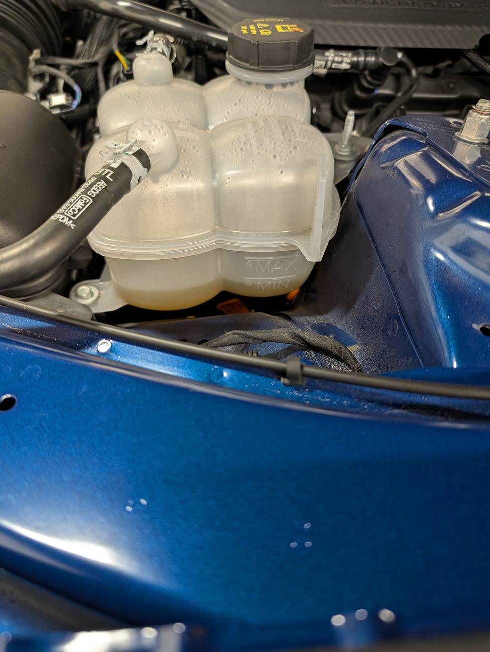 S650 Mustang Low Coolant = cause for concern? PXL_20241218_180942071