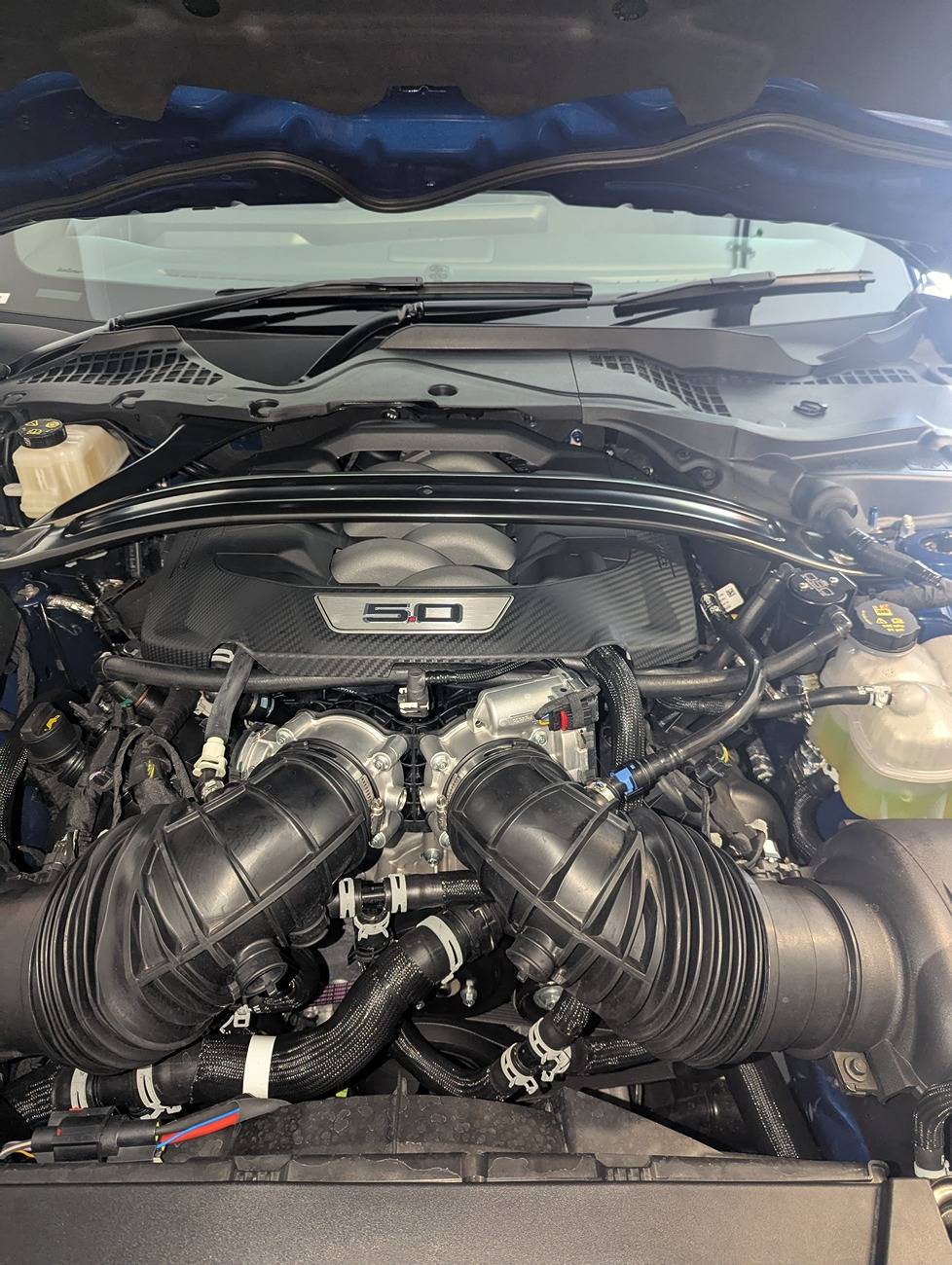 S650 Mustang Finally pick up day!! PXL_20250111_062846412