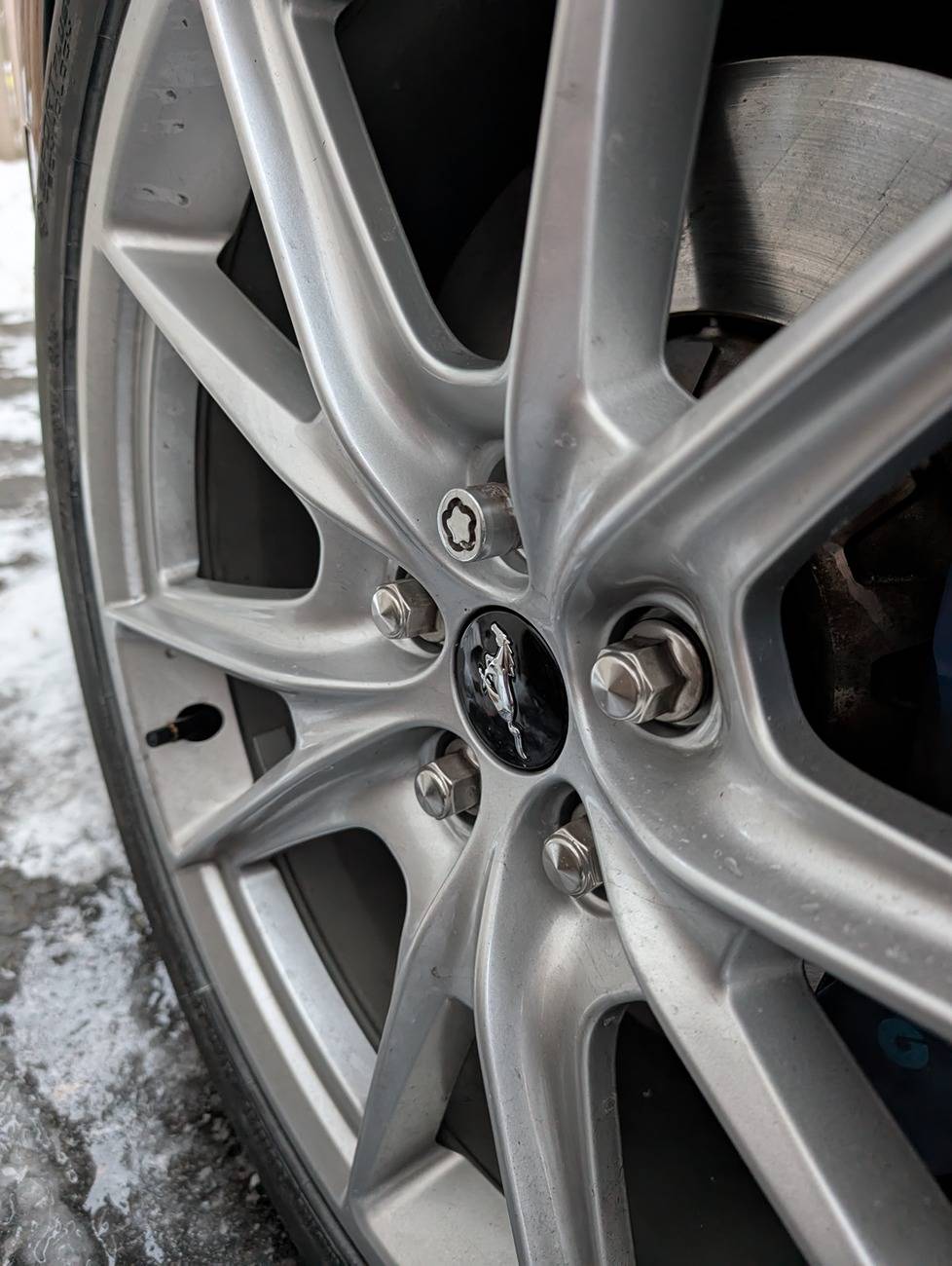 S650 Mustang Do these rear DH wheel locks look right to you? PXL_20250121_215813073