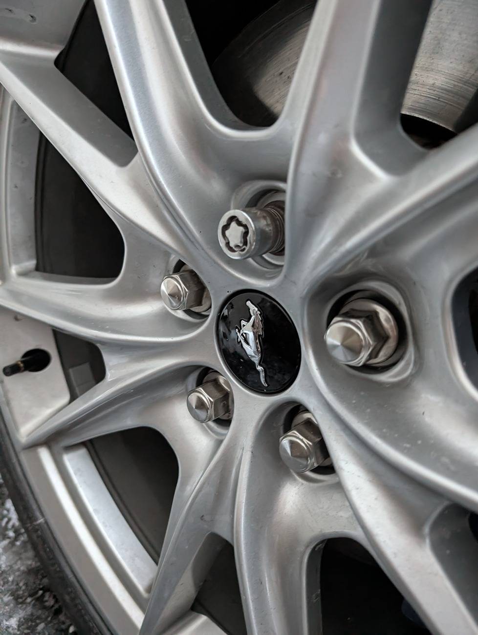 S650 Mustang Do these rear DH wheel locks look right to you? PXL_20250121_215817057