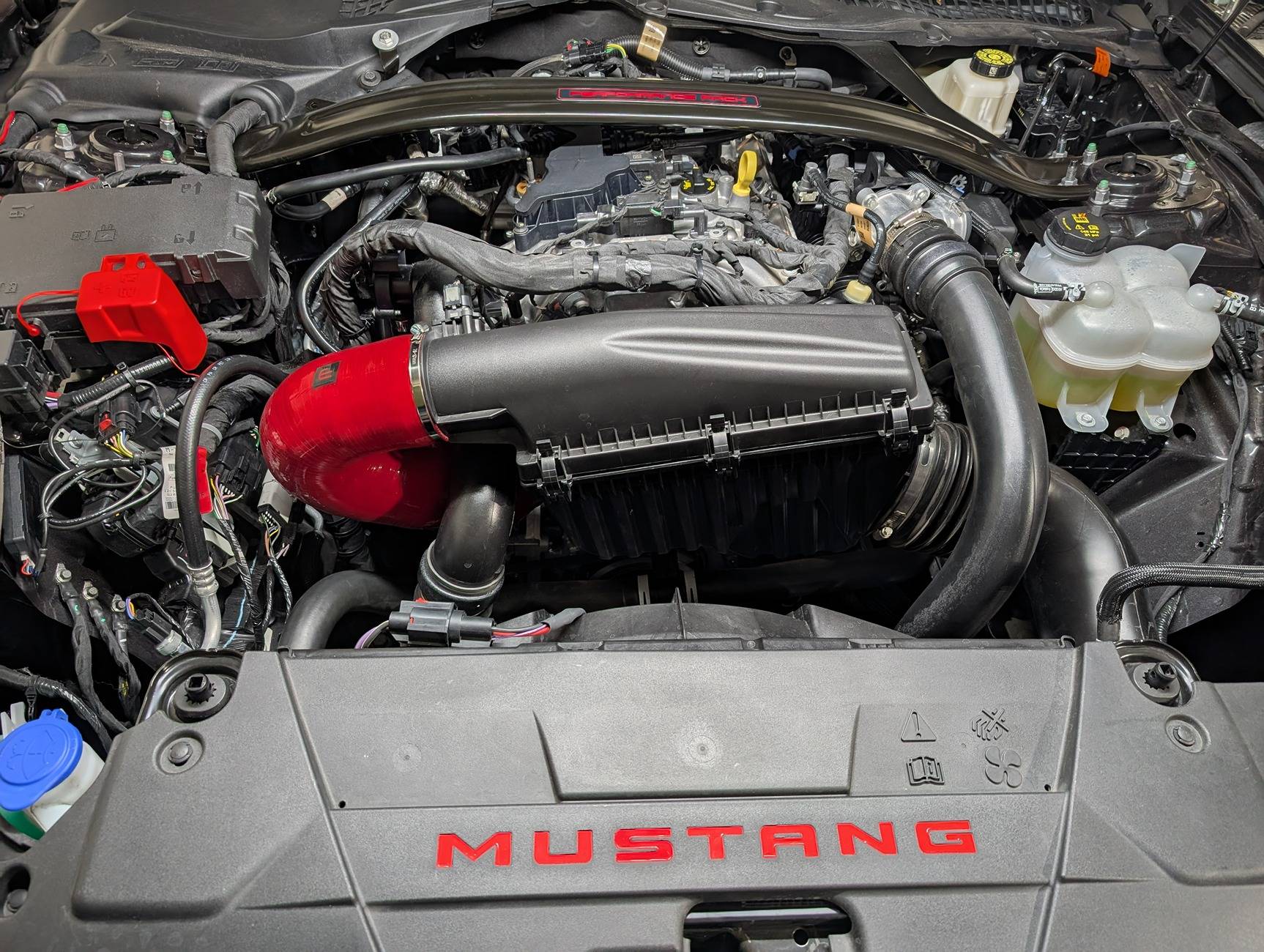 S650 Mustang Eurocompulsion PXL_20250216_234036937