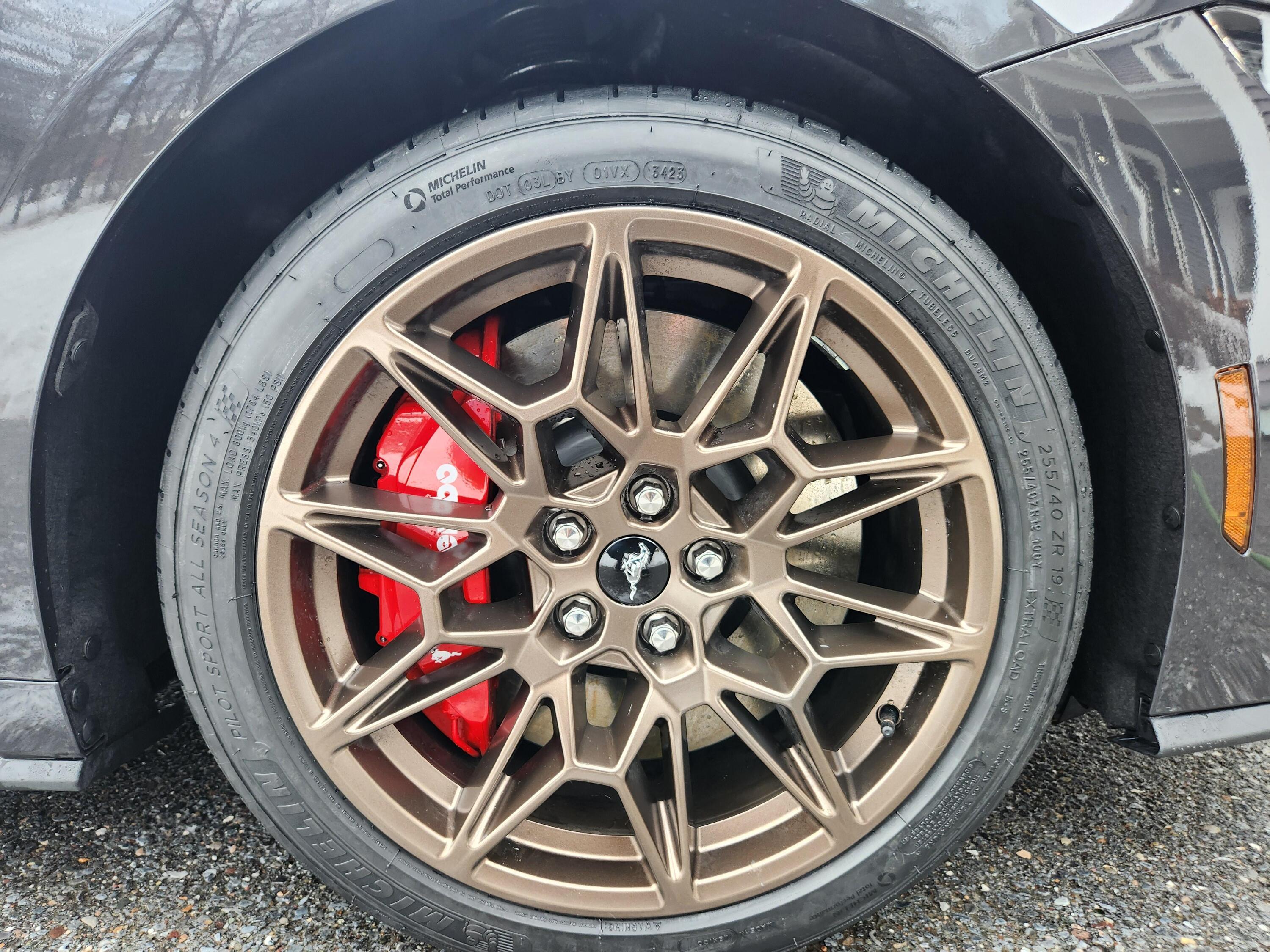 S650 Mustang Photos of Dark Matter Gray And Carbonized Gray GT Performance Package Bodies Matched With Either Carbonized Gray Or Tarnished Dark Aluminum Wheels rJDldo4