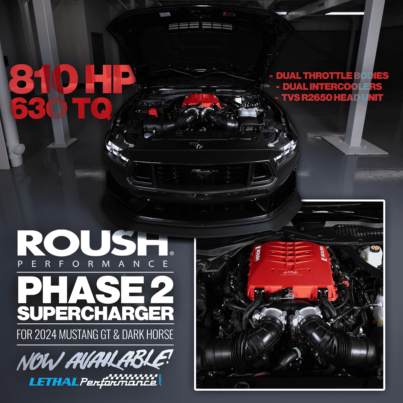 S650 Mustang Roush Launch Edition at Lethal Performance! roush ad social more text