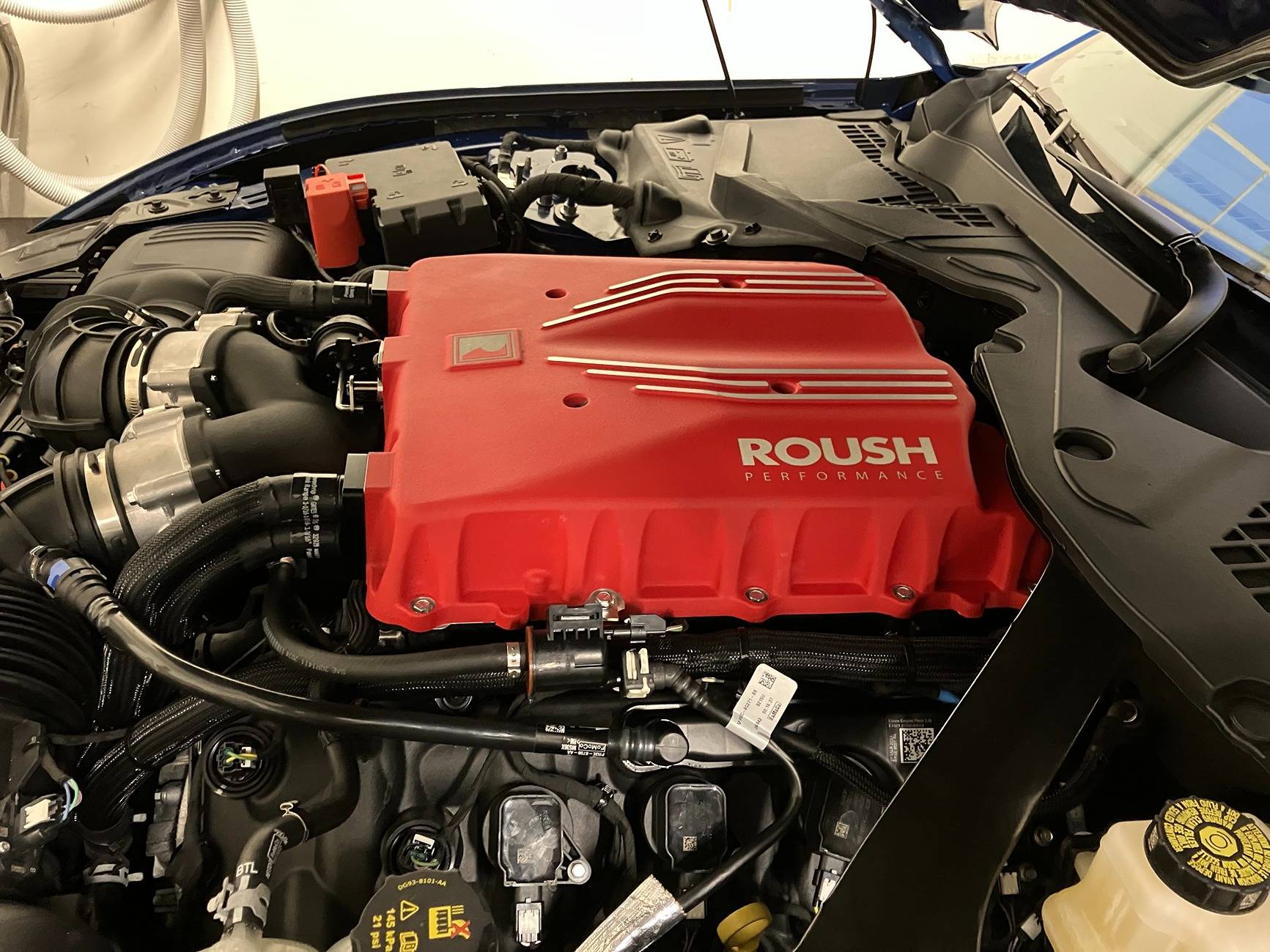 Roush - Jan-13-2025.jpg