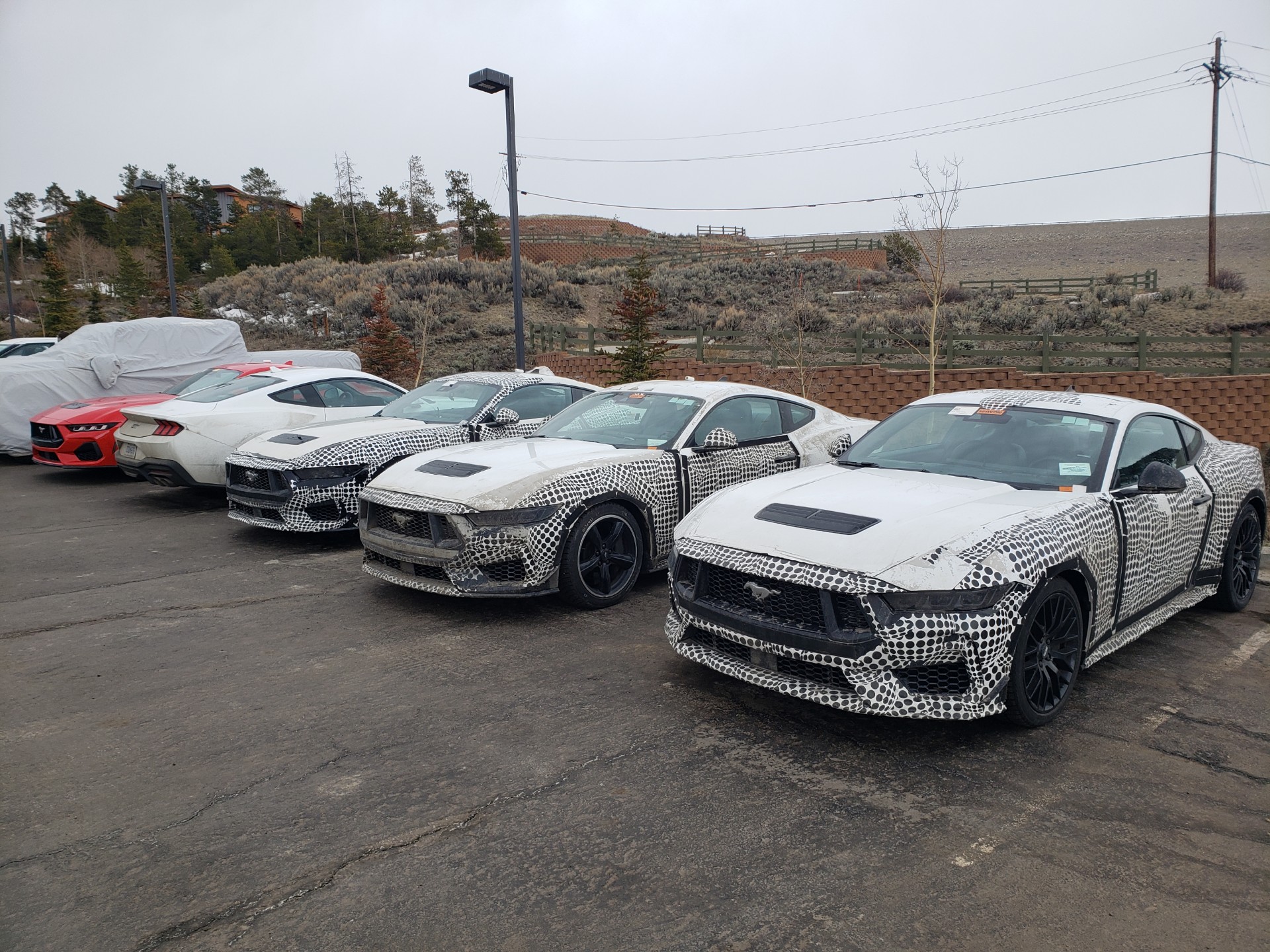 S650 Mustang S650 Mustang global-market prototypes testing in Colorado S650 Camo 1