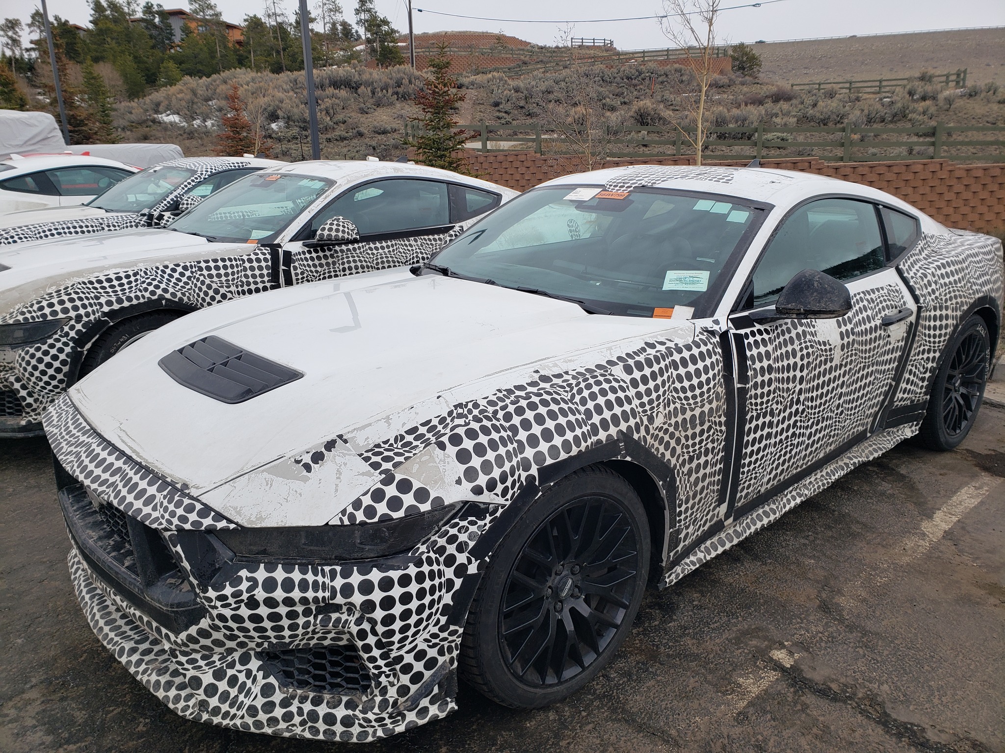 S650 Mustang S650 Mustang global-market prototypes testing in Colorado S650 Camo 4