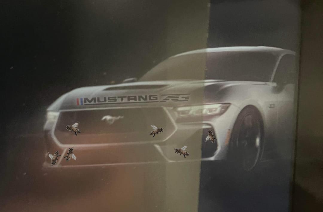 S650 Mustang S650 Mustang GT Full Frontal Leak!! 📸 s650-mustang-gt-front-end