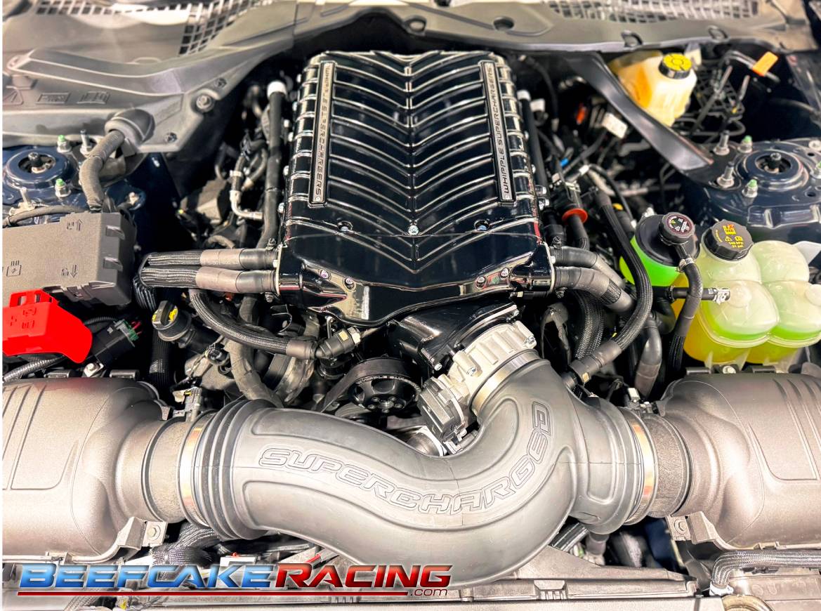 S650 Mustang 2024 Mustang Whipple Superchargers available to order! s650gen6beefcake