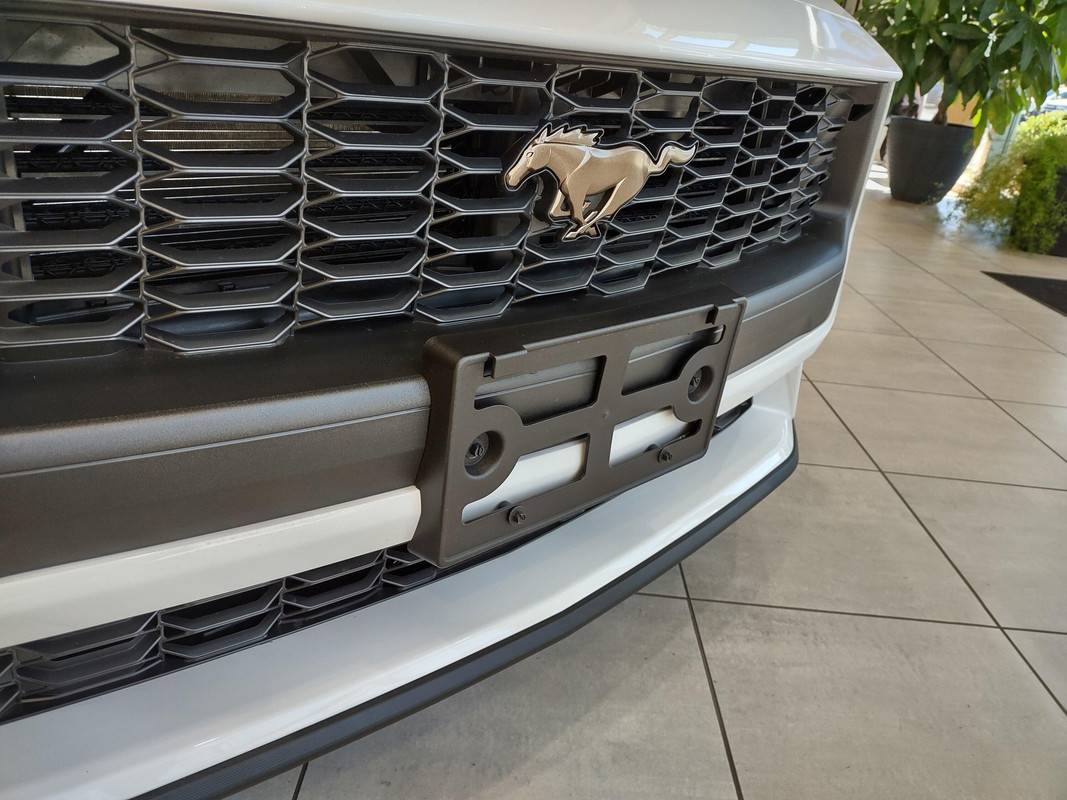 S650 Mustang This Just Got Real! s650plinth