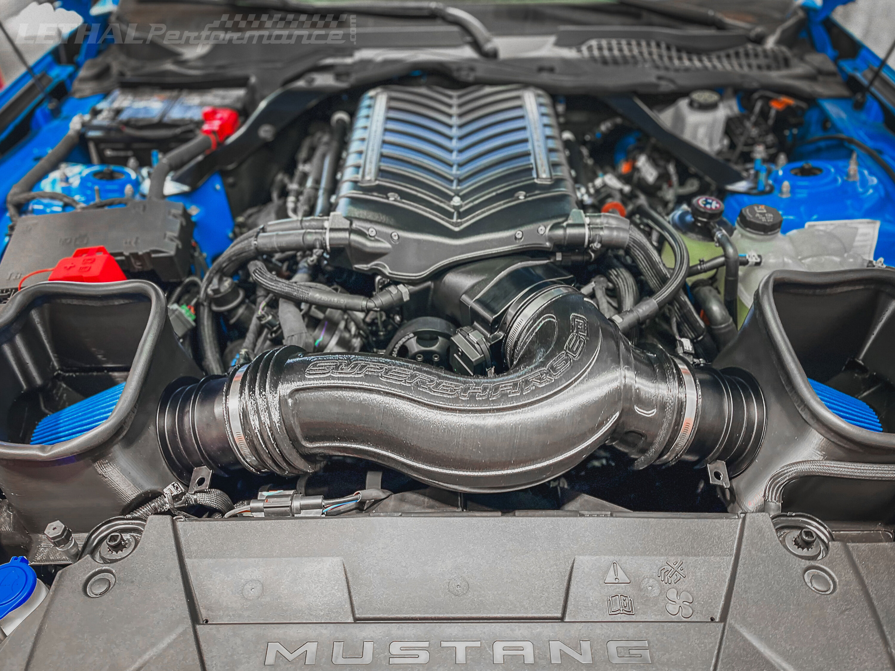 S650 Mustang The ALL NEW GEN 6 Whipple Supercharger for 2024 Mustang! s650whipple9