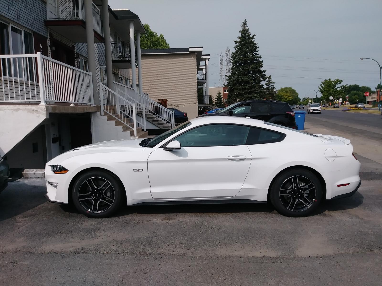 S650 Mustang Mustang Buying Basics + COTUS Guide scev46