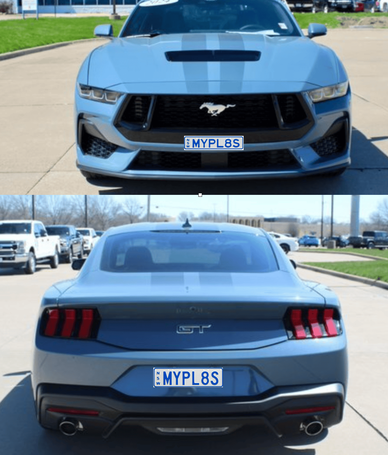 S650 Mustang Custom Rego plates Screenshot 2024-07-14 at 8.01.25 am