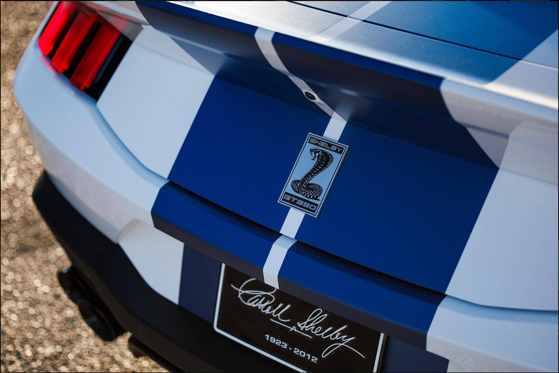 S650 Mustang Color PPF for Blue Racing Stripes on Oxford White GT Screenshot 2025-05-18 at 8.00.22 PM