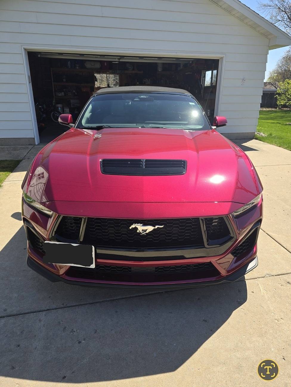 S650 Mustang Official MOLTEN MAGENTA Mustang S650 Thread Screenshot_20250506_205156_Gallery