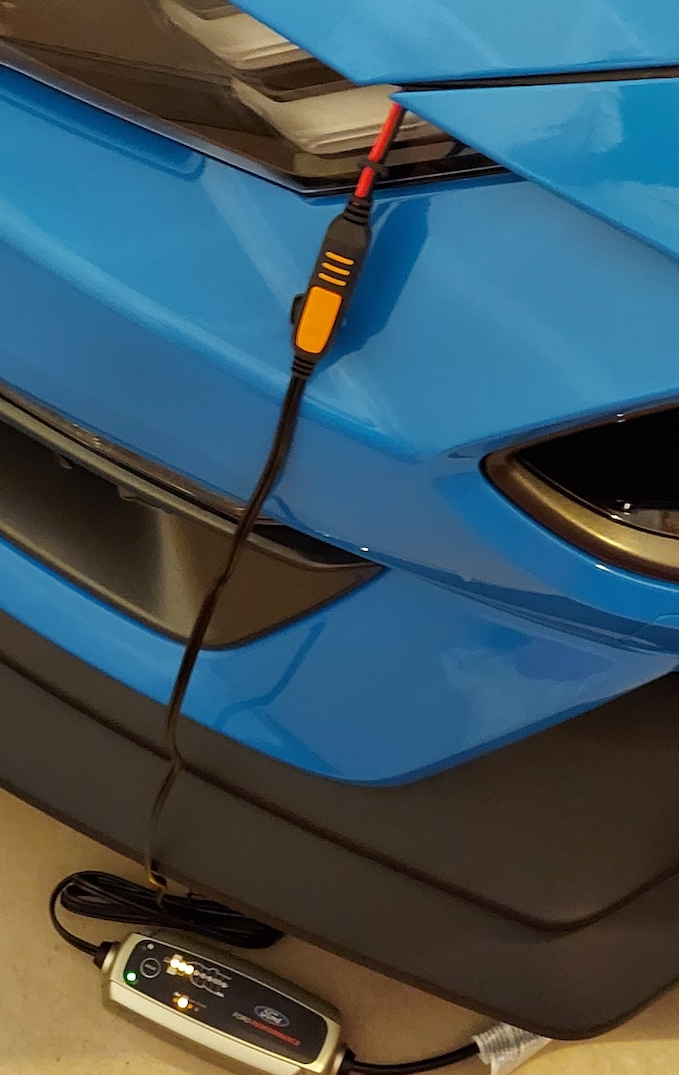 S650 Mustang Trickle charger recommendation for winter storage. skye tender 3