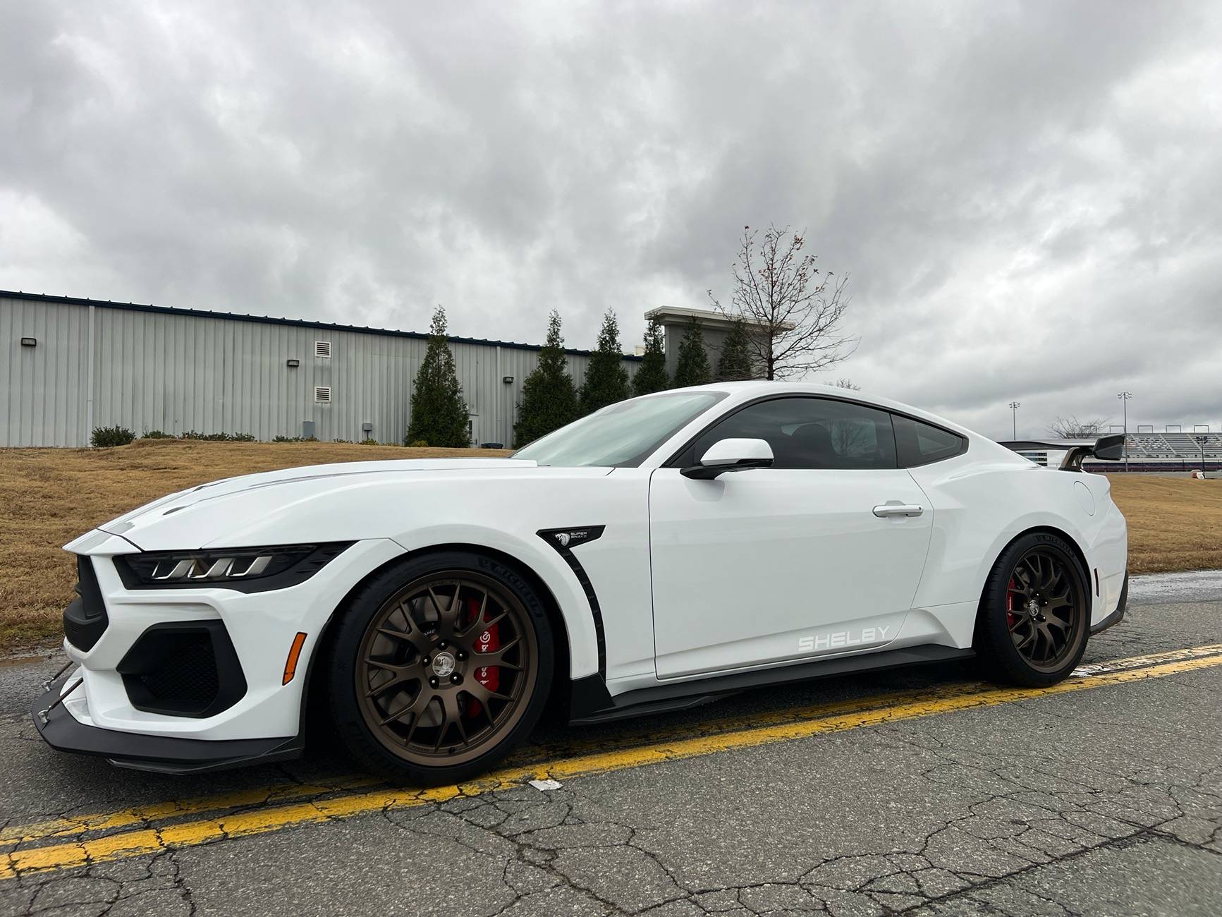 S650 Mustang My new White on White Shelby Super Snake🐍 sm3