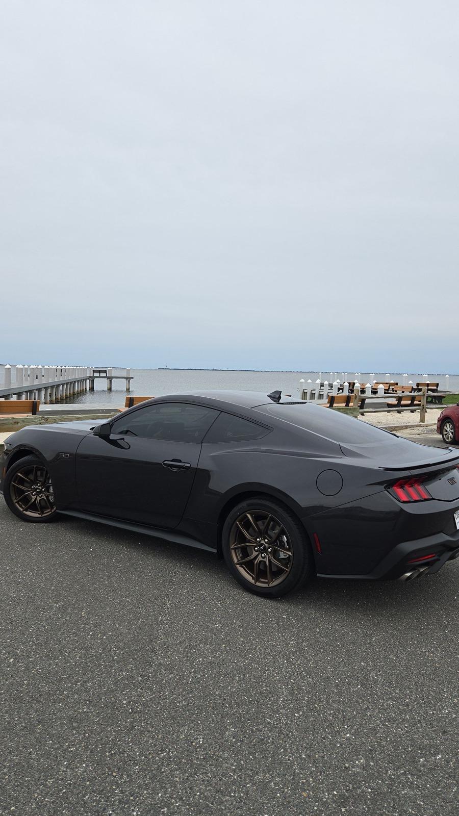 S650 Mustang New member Snapchat-431360039