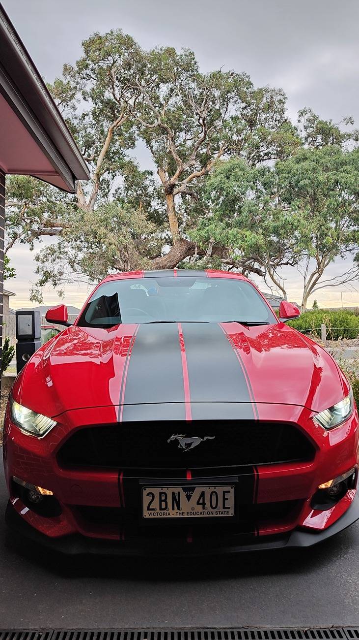S650 Mustang Racing stripe opinions Snapchat-946664199
