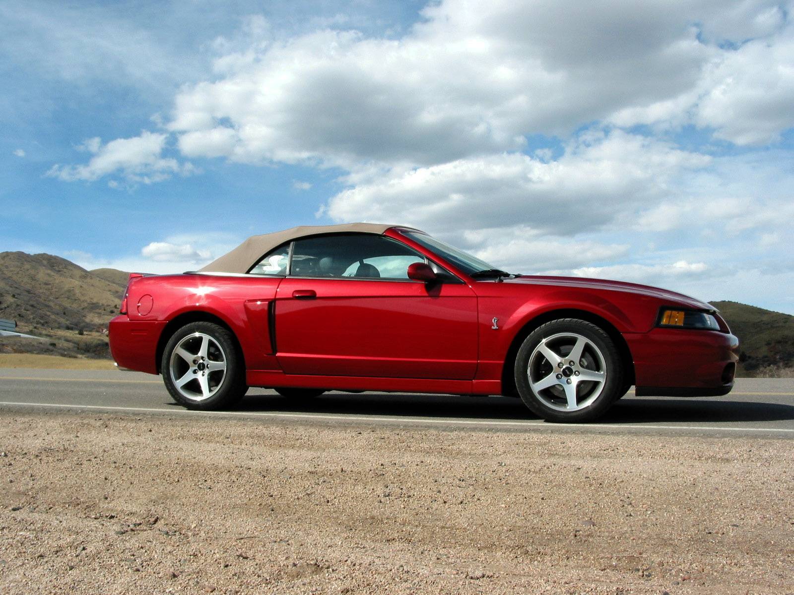 S650 Mustang Who's trying to race you? stangman