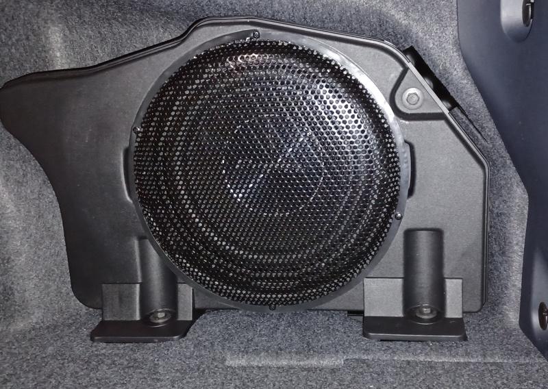S650 Mustang B&O 10" sub replacement? sub2