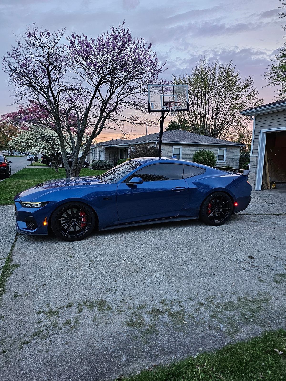 S650 Mustang Share your Fav S650 shot sully