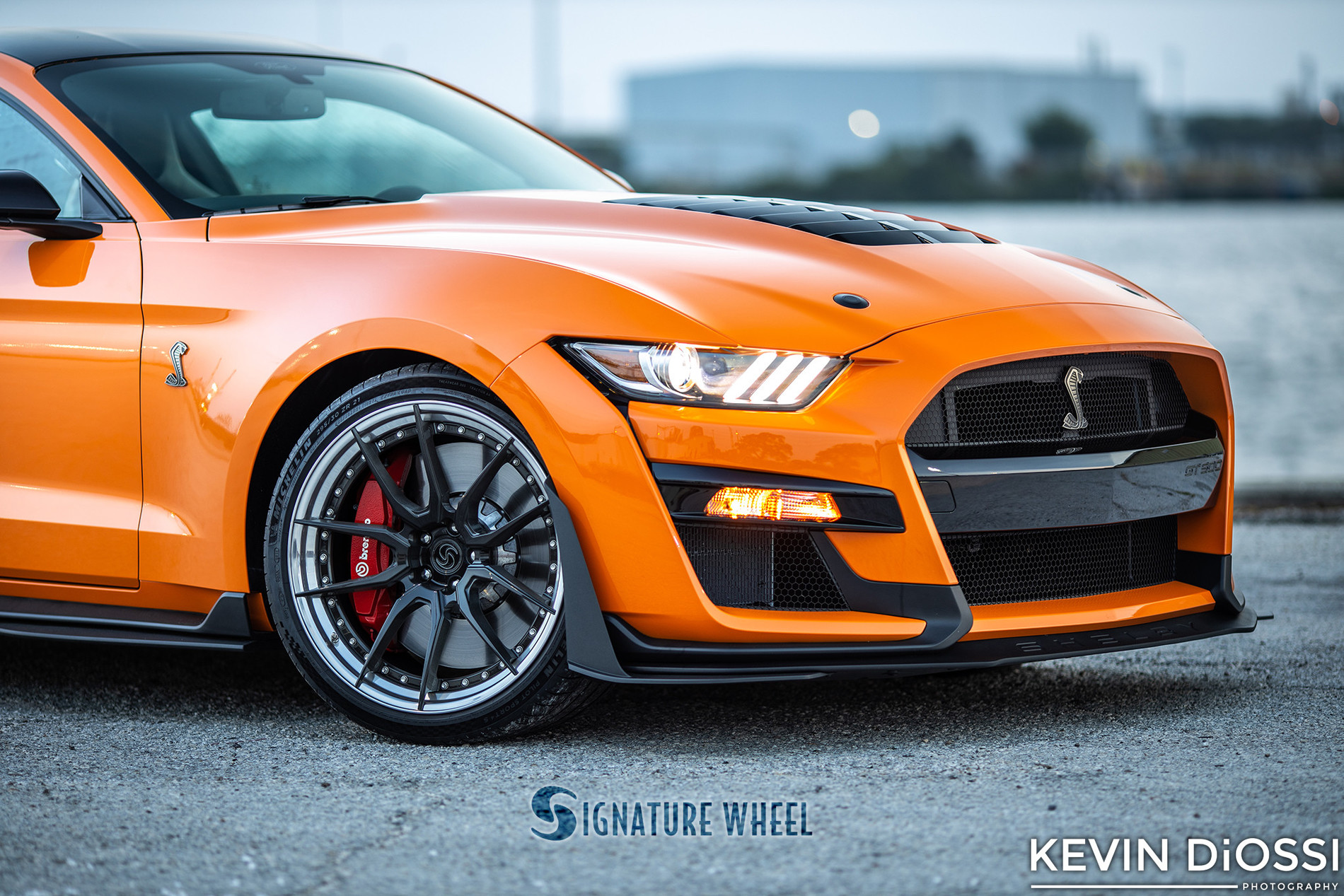 S650 Mustang tset SV302-S-GT500-Coastal-Dyno-by-Diossi-Watermark-17