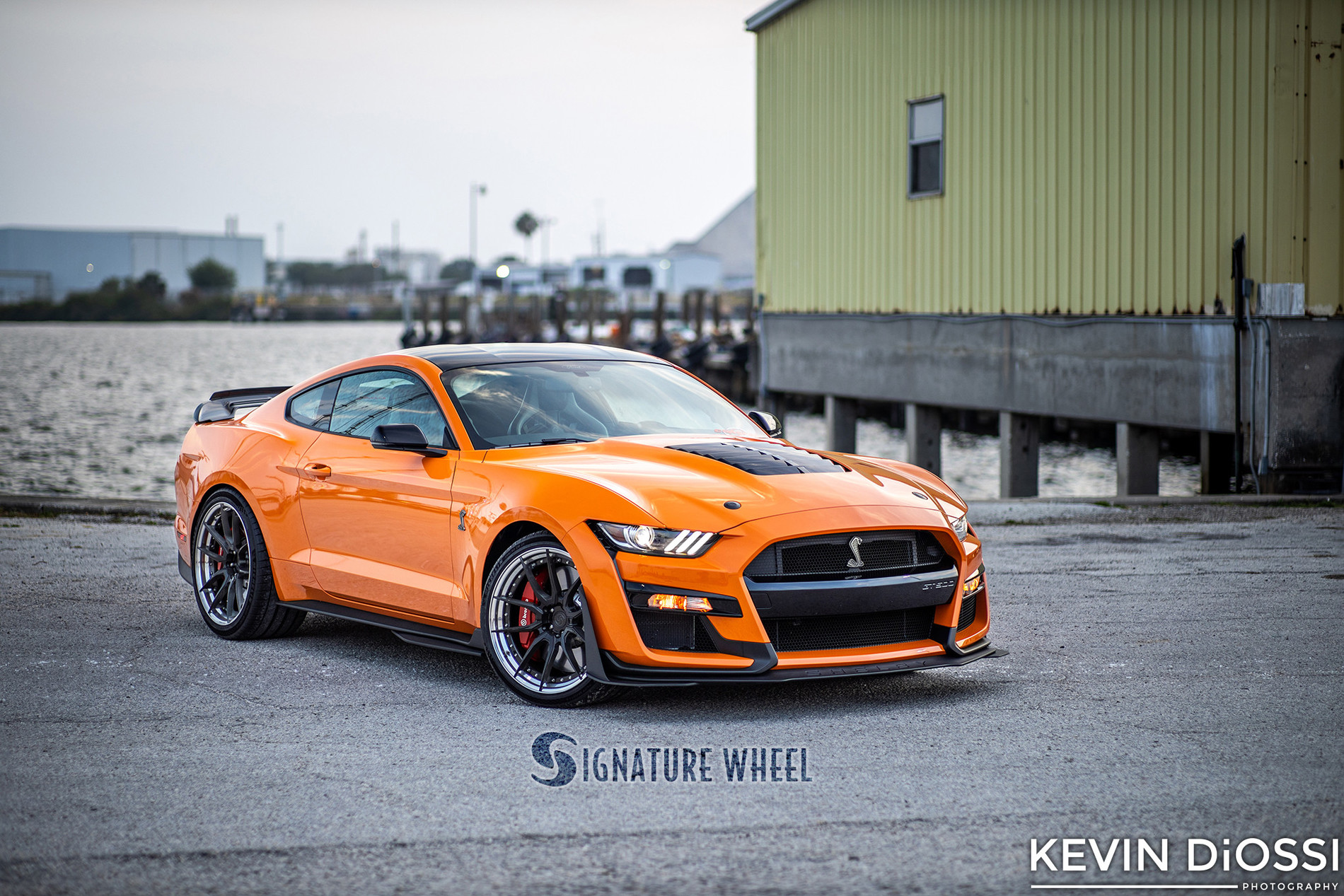 S650 Mustang tset SV302-S-GT500-Coastal-Dyno-by-Diossi-Watermark-5
