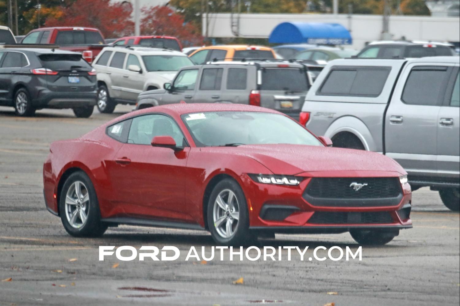 S650 Mustang What's your favourite S650 photo so far? tang-EcoBoost-Base-Potential-Rapid-Red-First-Photo