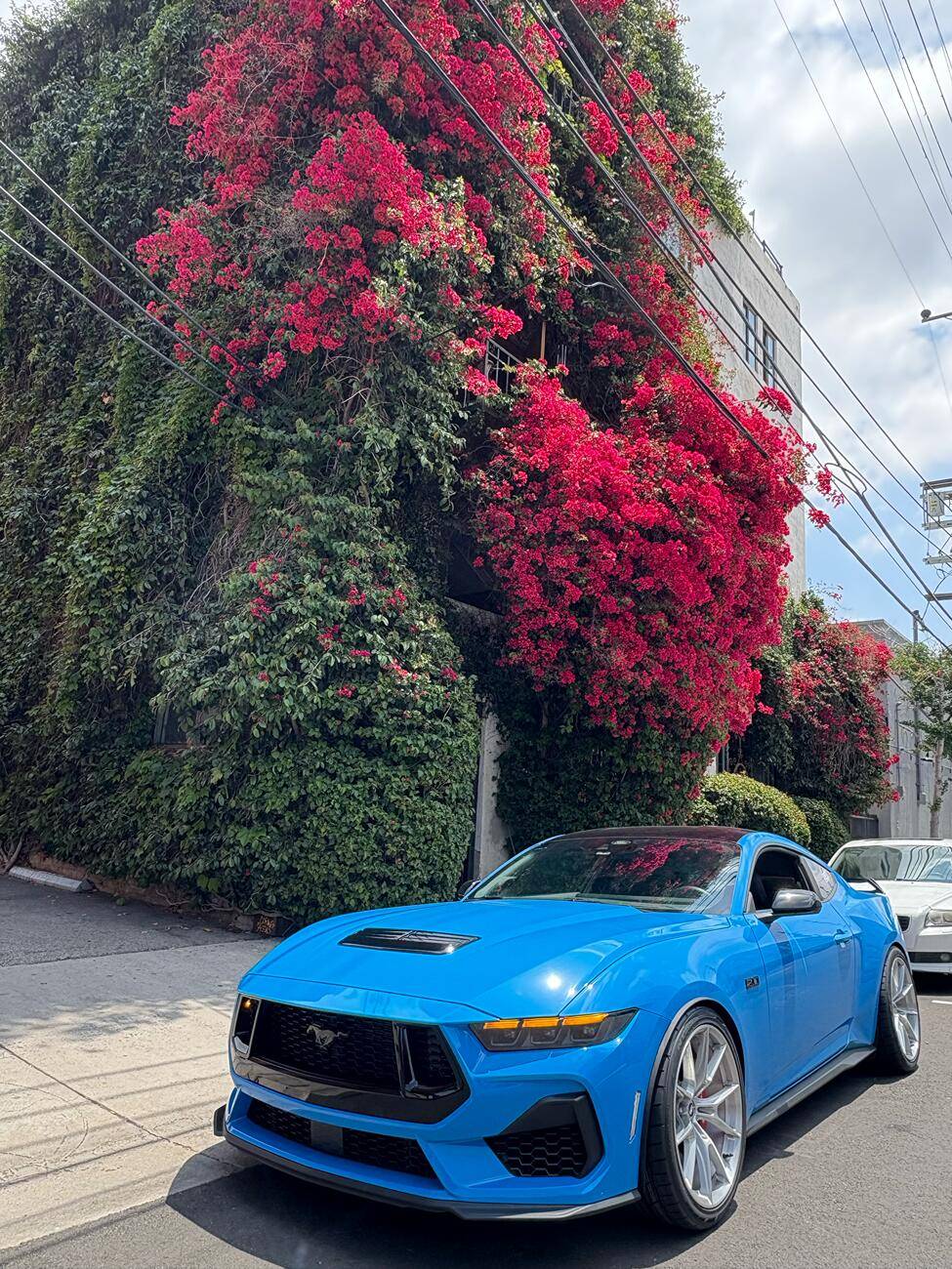 S650 Mustang 2024 Mustang GT Builds Tracking List tempImagecoZ5pG