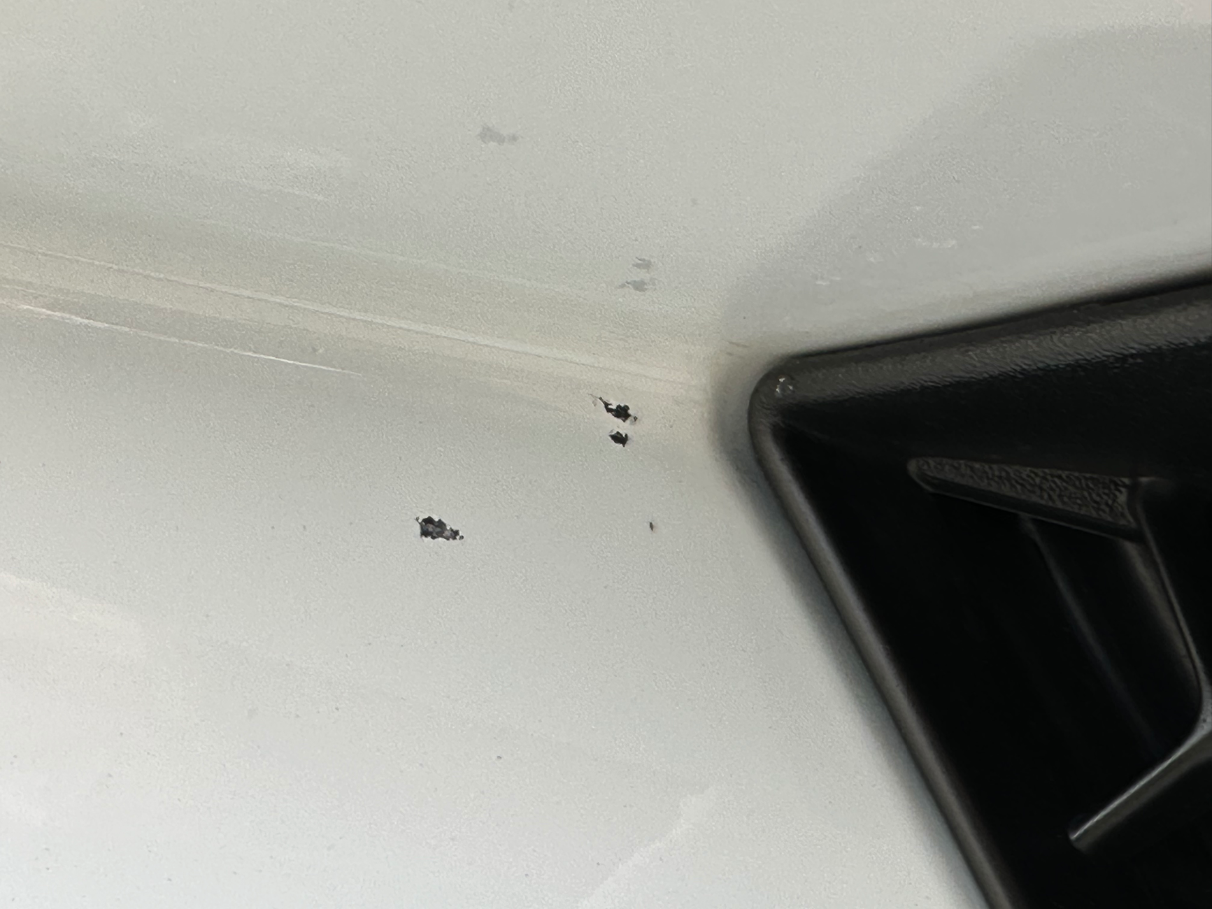 S650 Mustang Paint issues? tempImageTUsUZW