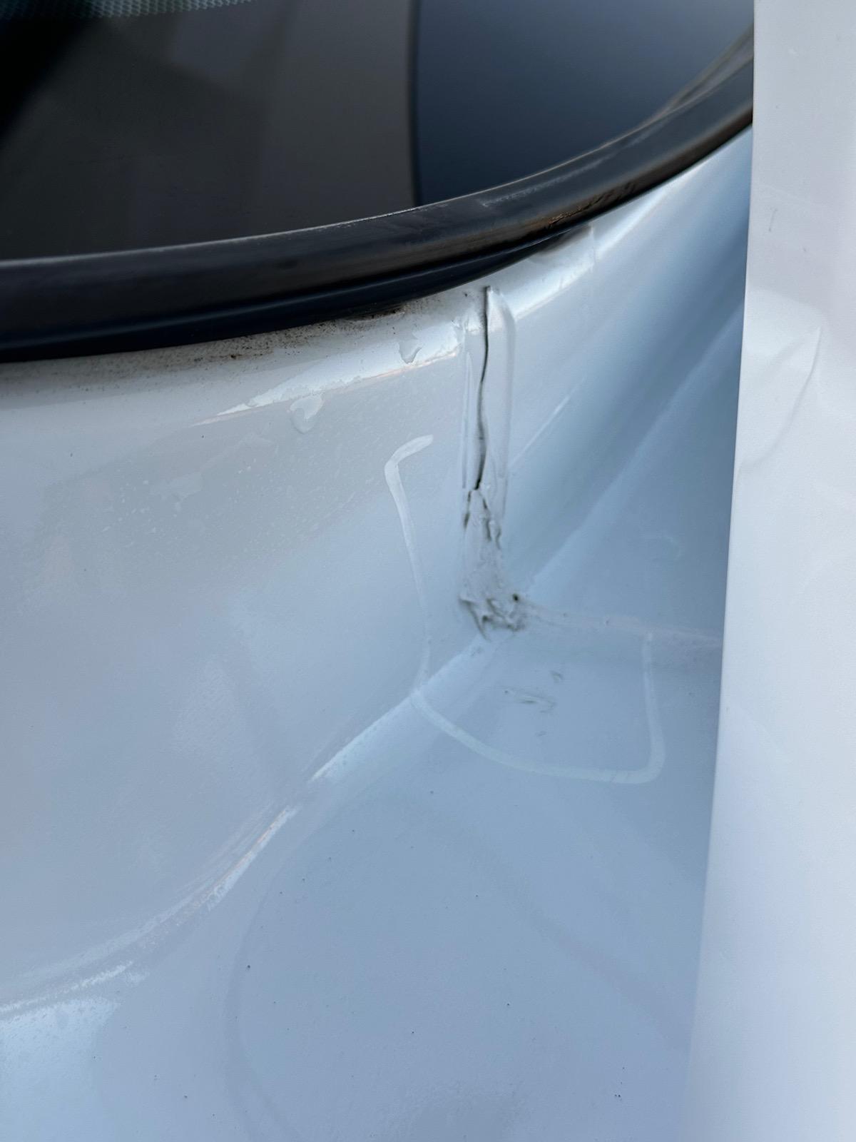 S650 Mustang Paint issues? tempImageZwj6He