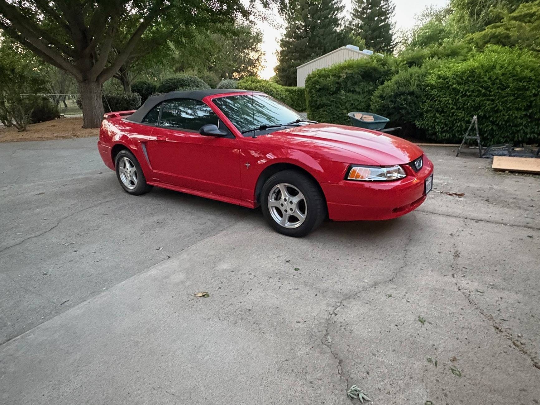 S650 Mustang Red Convertible 2003 Mustang (Garage Kept) - $4,000 Original Female Owner (Located in Durham, California) thumbnail_IMG_9925