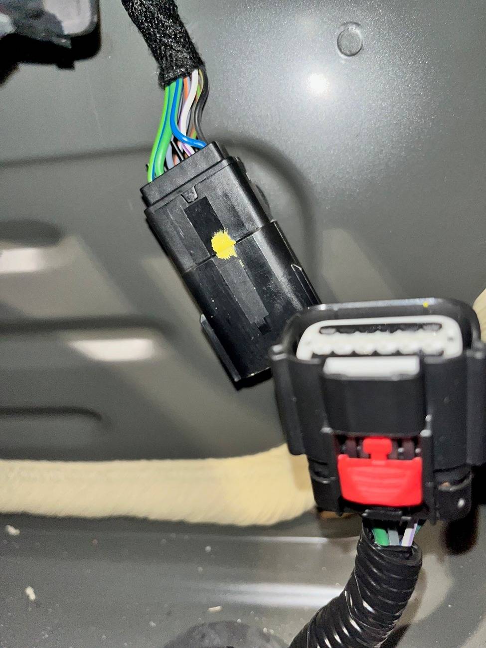 Trunk 2.jpg