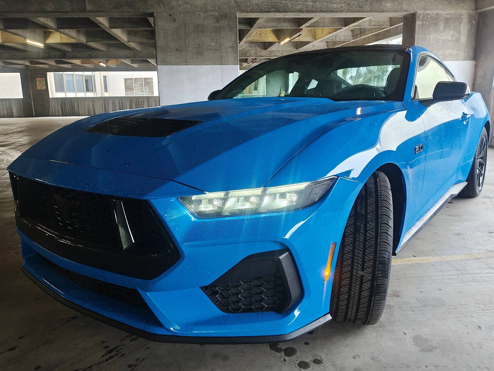S650 Mustang Introductions & Welcome Thread 👋 twothirds