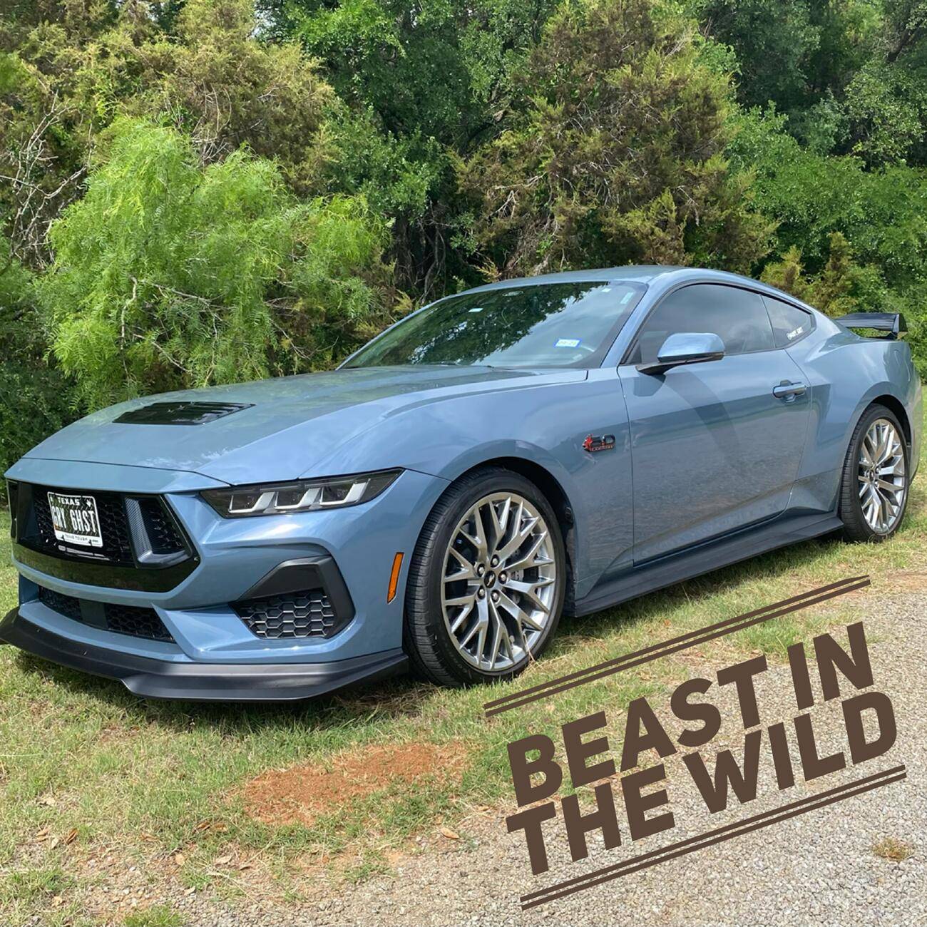 S650 Mustang NEW Shadow Black 2025 GT typorama