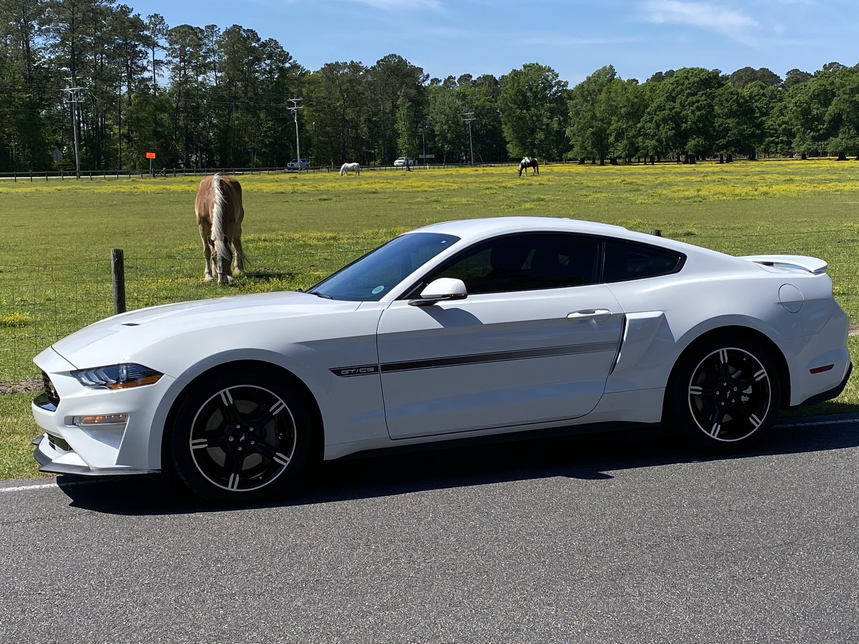 S650 Mustang 24 GT/CS white/ blue wheels! uuid=00000000-0000-0000-0000-0000000112F7&library=1&type=1&mode=1&loc=true&cap=tru