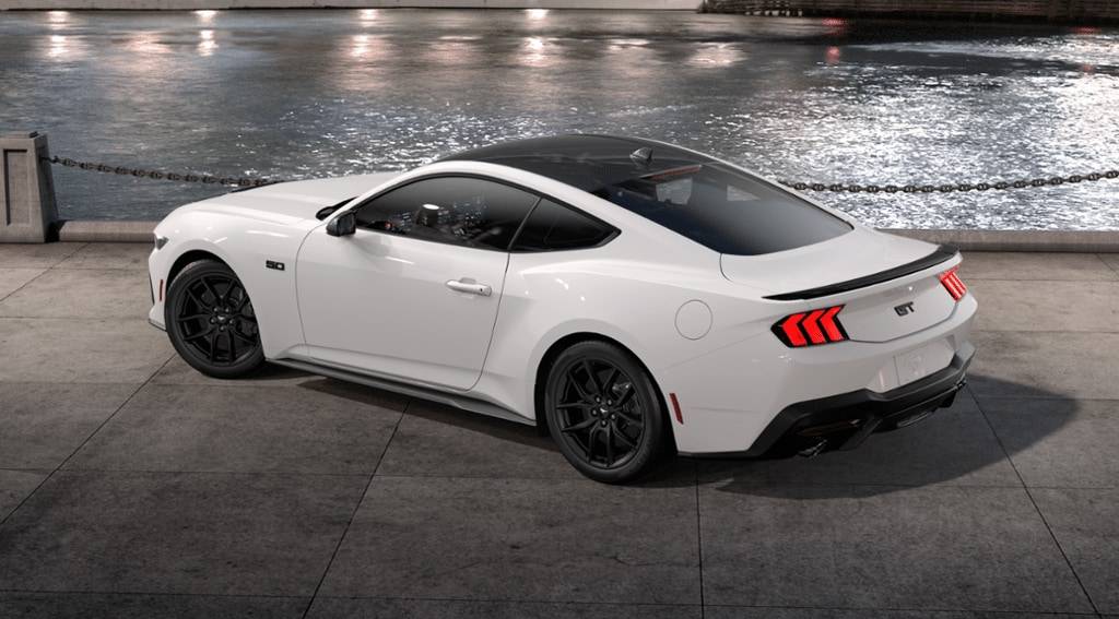S650 Mustang What did you do to your S650 Mustang today?? 🙋🏻‍♂️ vehicle-19