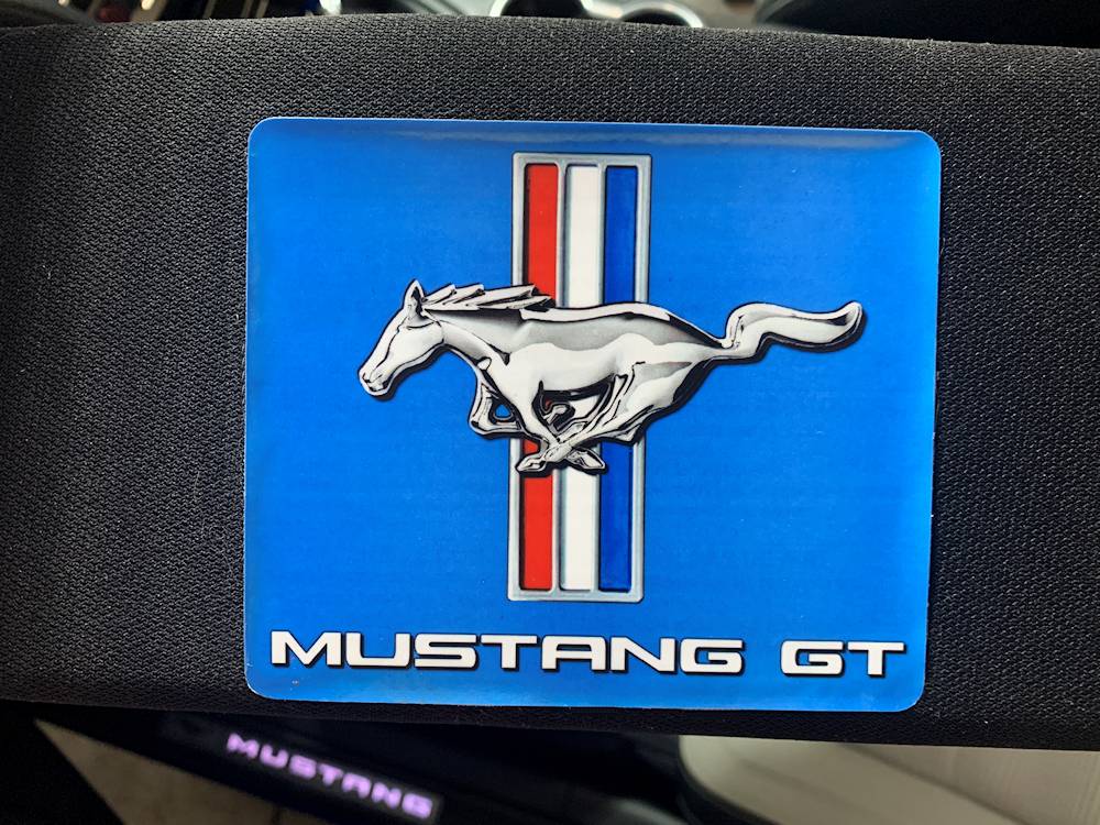 S650 Mustang Daisy’s First Photo Shoot Visor.JPG