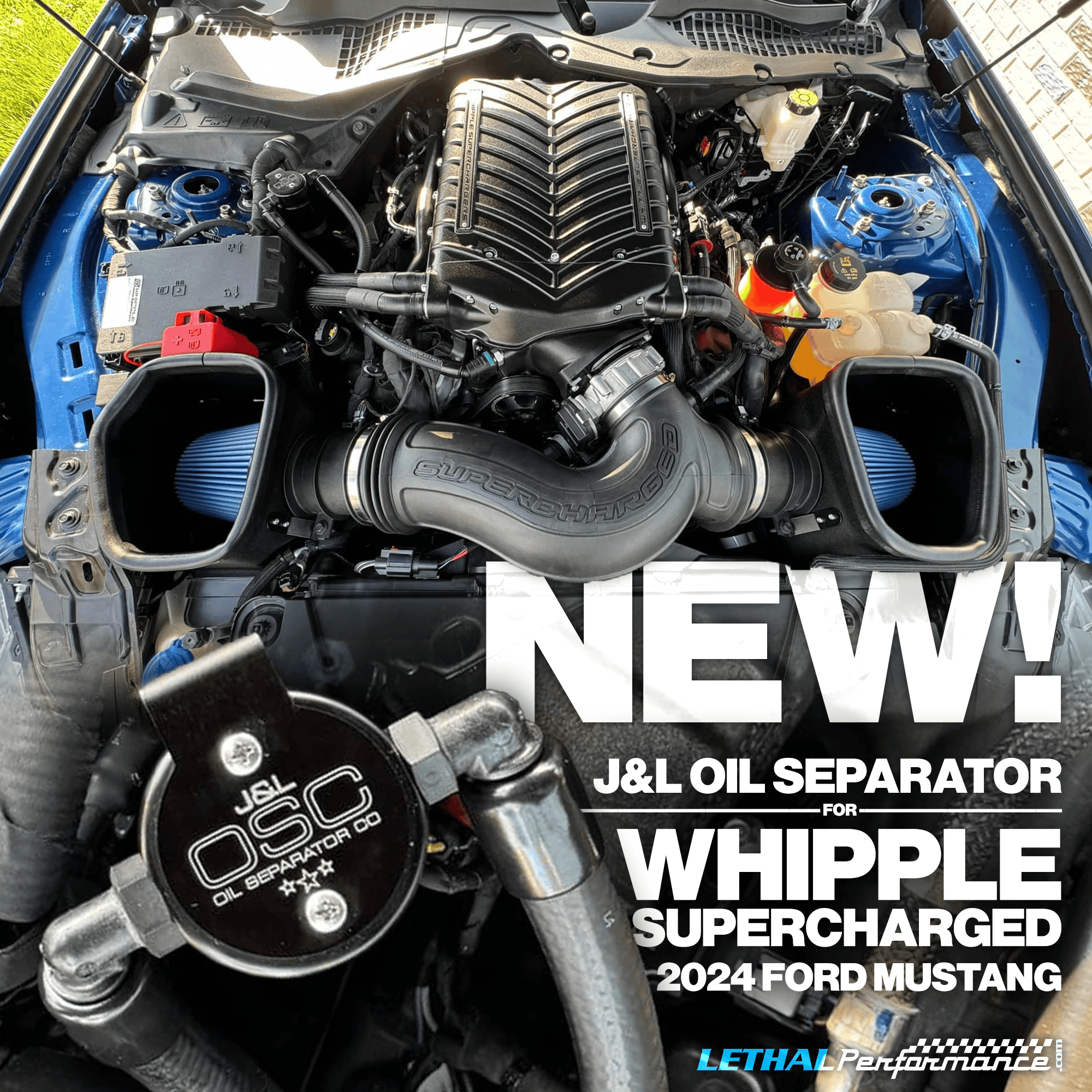 S650 Mustang NEW J&L Oil Separators for 2024 Mustangs with a Whipple Supercharger whipple j&l 