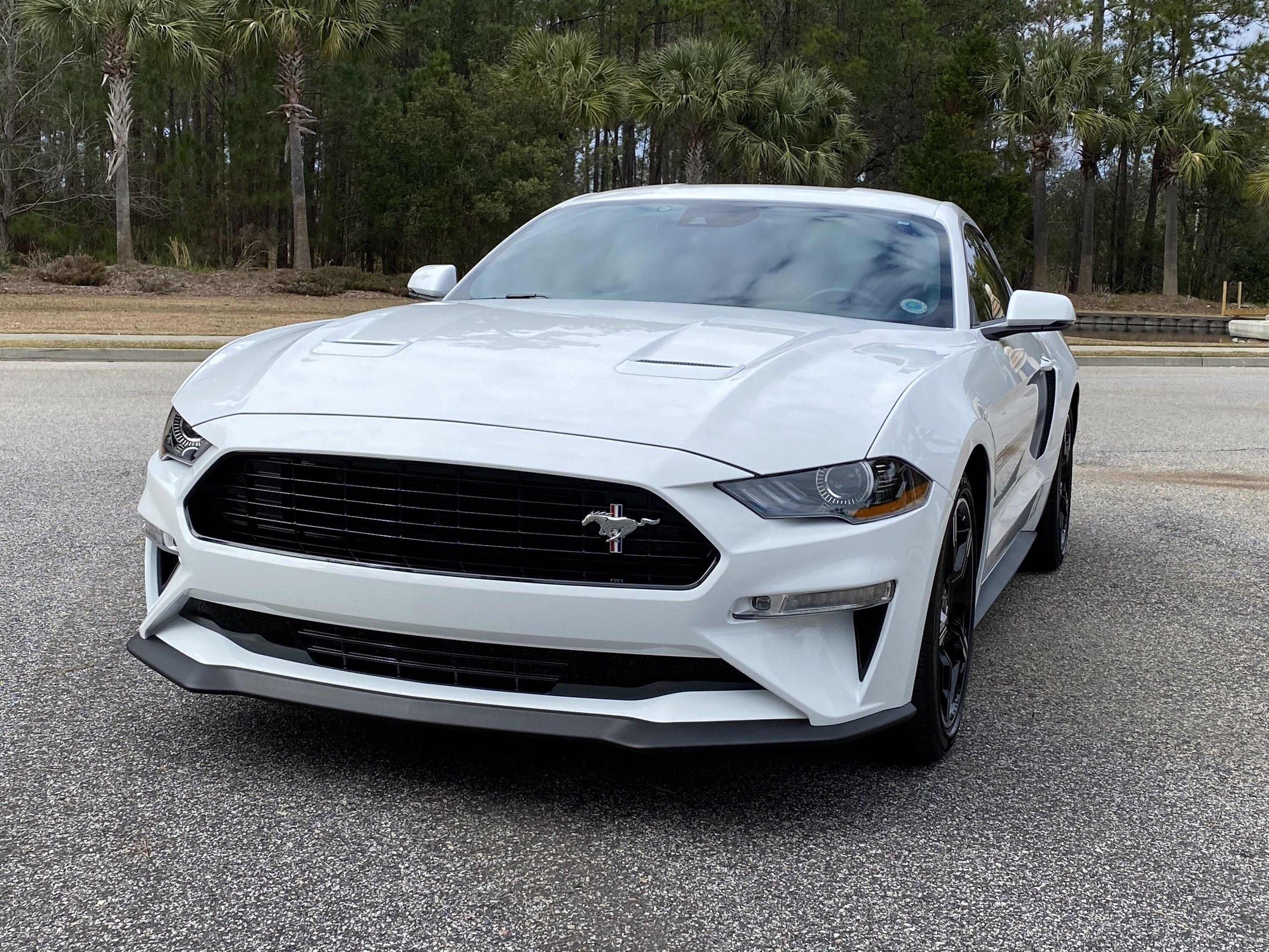 S650 Mustang Tri-bar logo Windsor Plantation 2