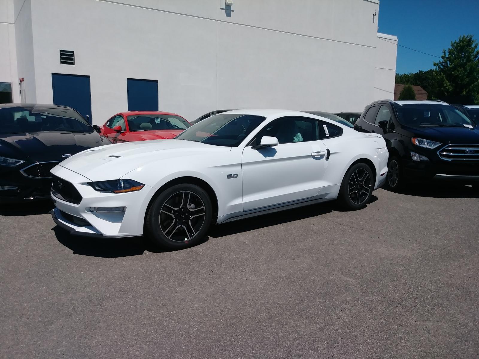 S650 Mustang Automatic COTUS Checker wvsn69
