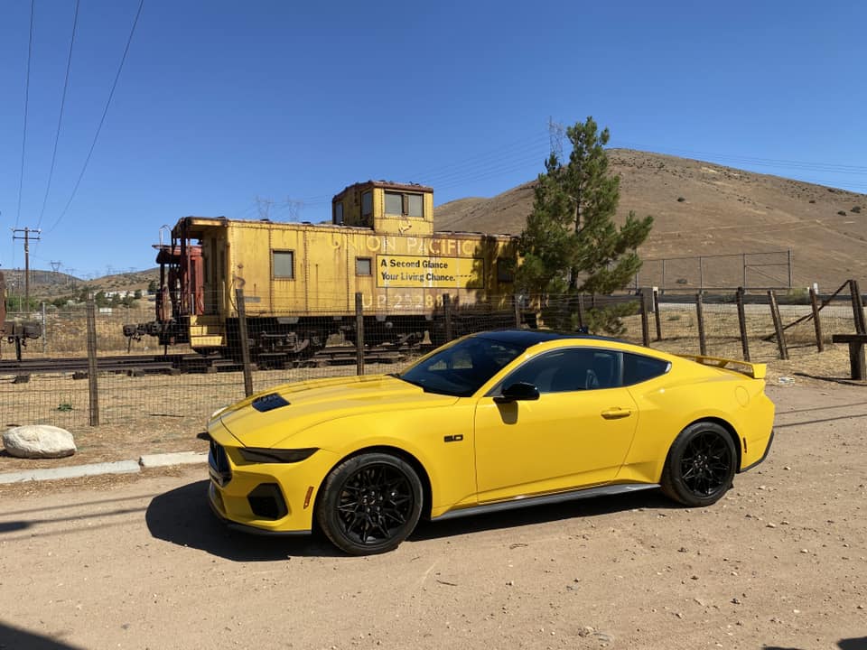 S650 Mustang Official YELLOW SPLASH Mustang S650 Thread Yellow Splash 25