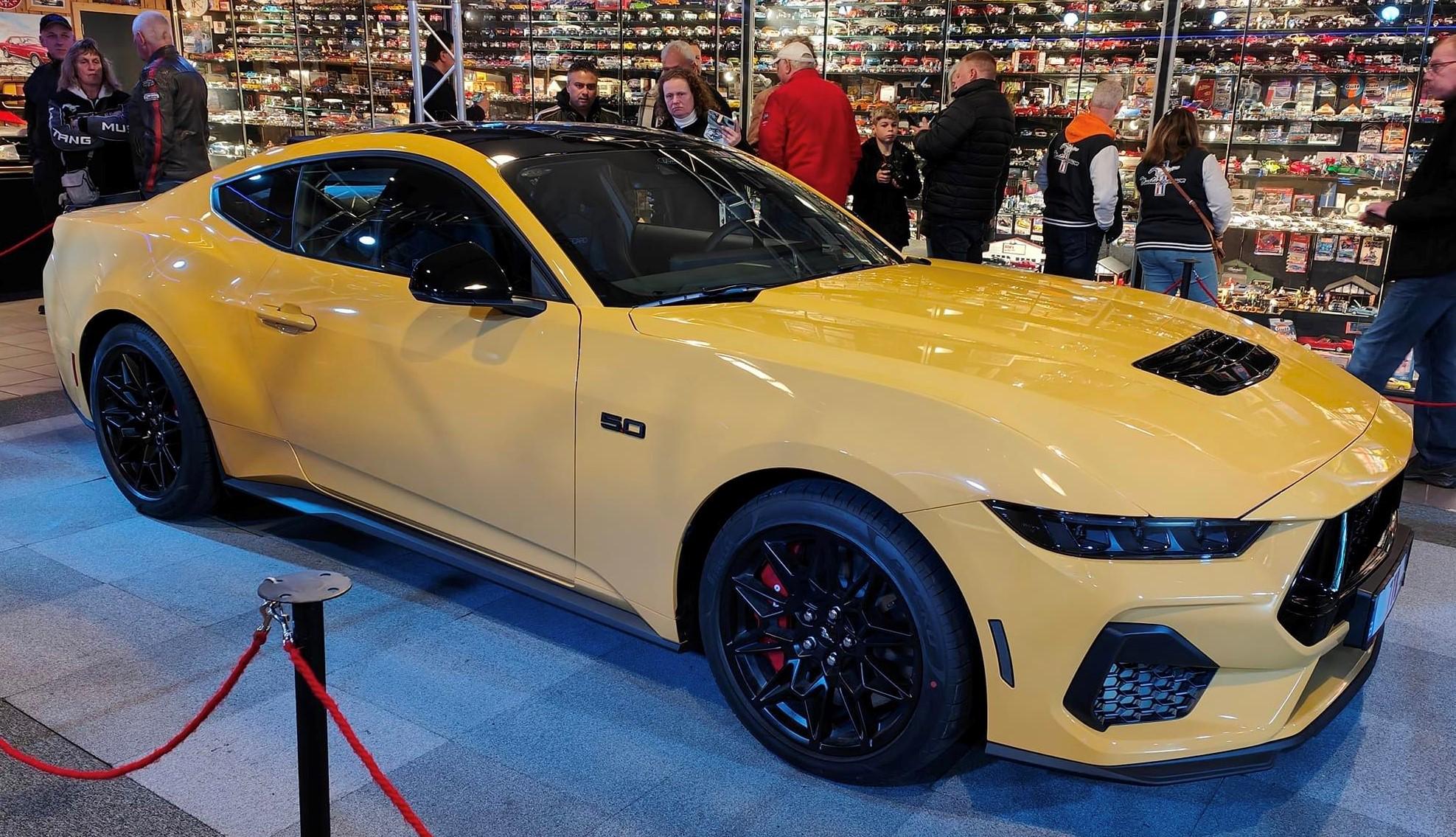 Yellow Splash Adelbert 10.jpg