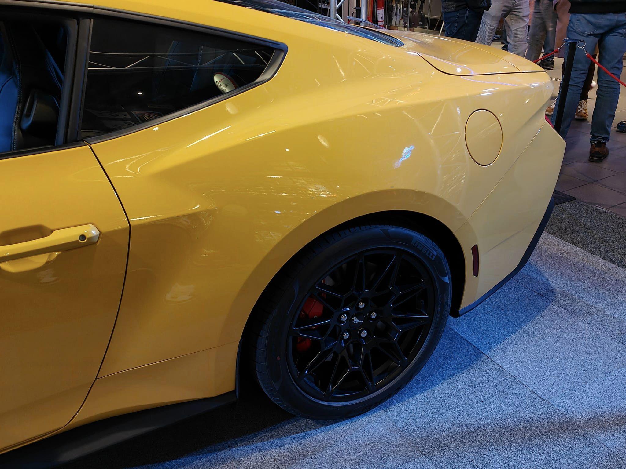 Yellow Splash Adelbert 12.jpg