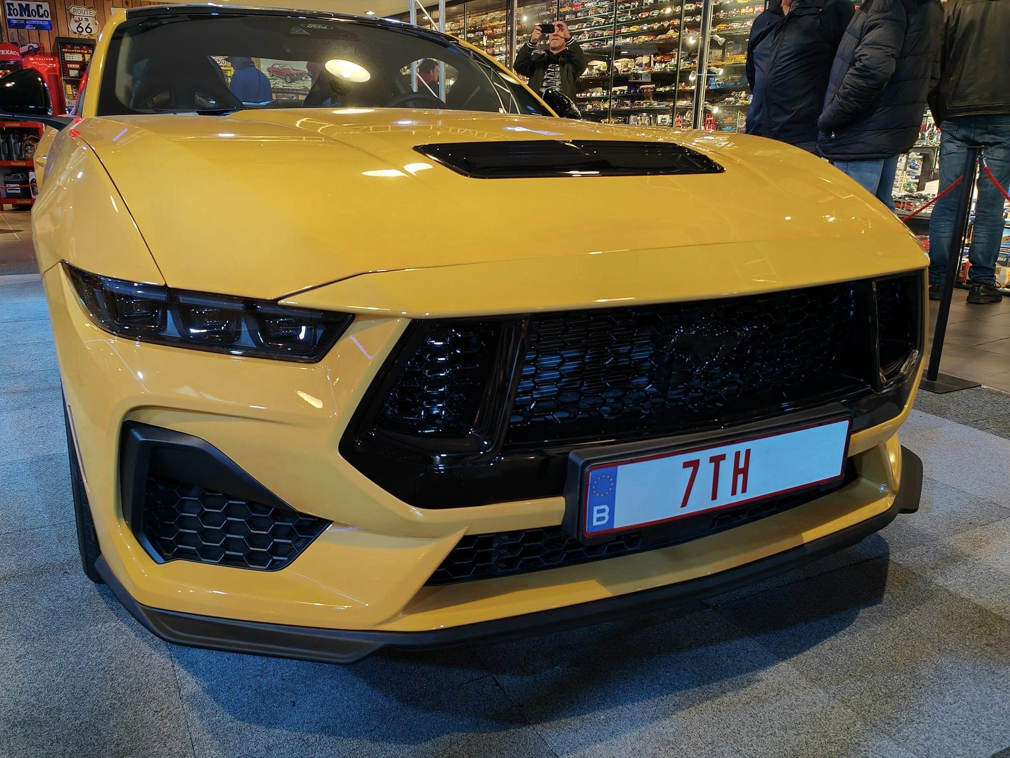 Yellow Splash Adelbert 13.jpg