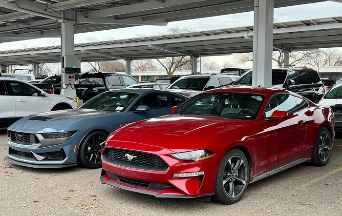 S650 Mustang vs S550 Mustang side-by-side comparison pics thread