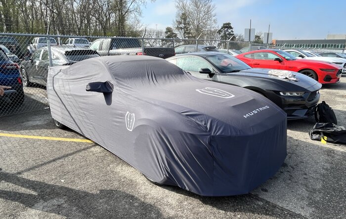Dark Horse Car Cover