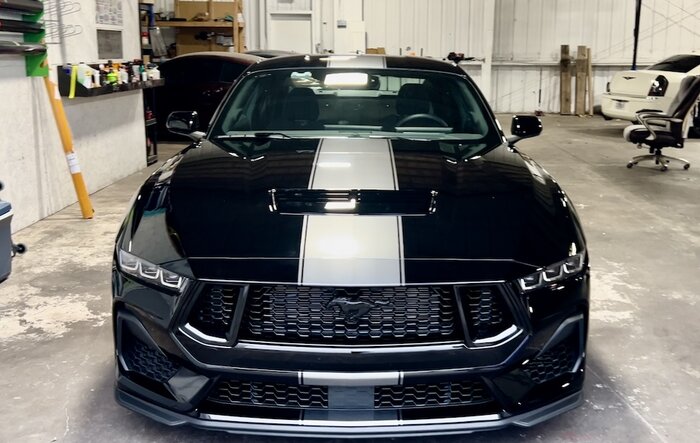 Custom Super Snake Vinyl Stripes Installed